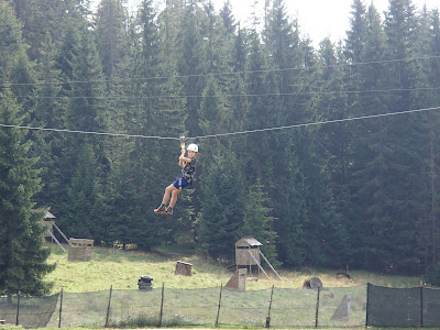 Park linowy "Wypasiona Dolina", trasa leśna