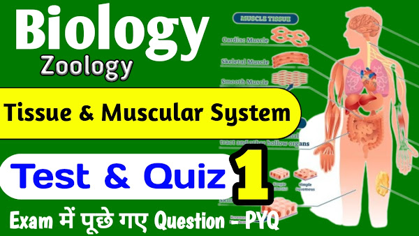 Tissue & Musculer System Quiz
