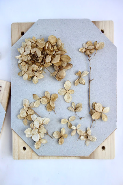 flower press tutorial, how to use a flower press, pressed hydrangea flowers, pressed flower crafts, nature crafts, blah to TADA, how to preserve flowers