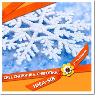 Idea_sib_KONKURS_51