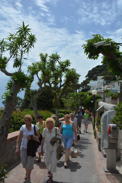 Capri trees