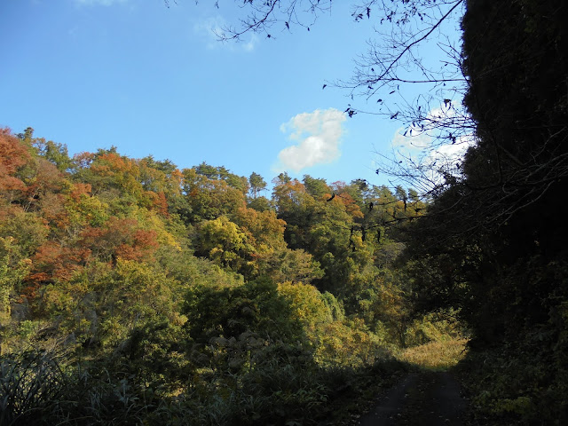 谷の道の山々の紅葉