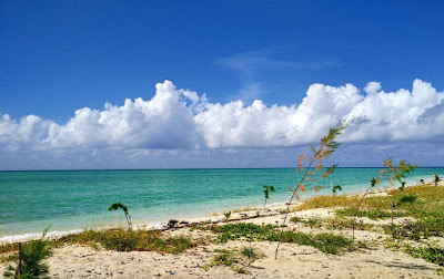  4 Wisata Pulau Bawean Yang Wajib Anda Kunjungi di Tahun 2019