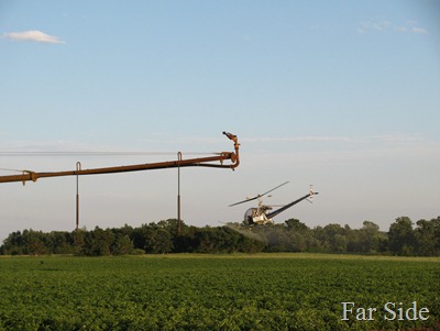 Flying over the fields