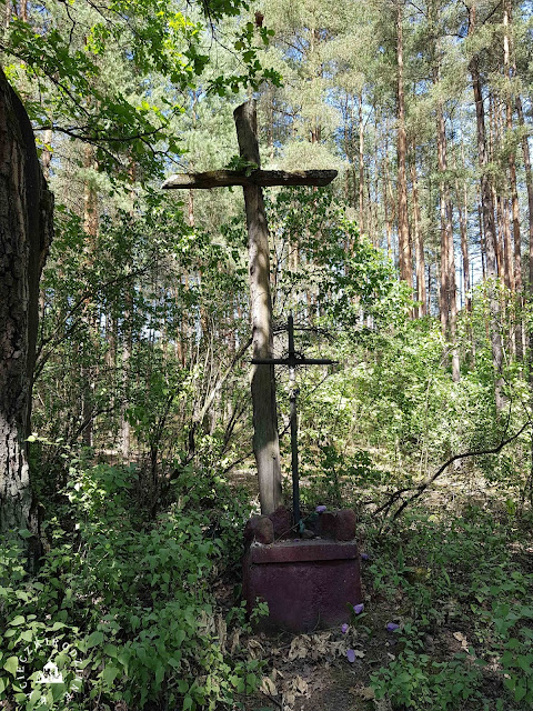 Wędrówki po puszczy kampinoskiej