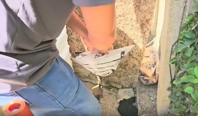 Polícia Militar prende homens que assaltaram residência de idosos em Miracema