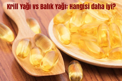 Krill Yağı vs Balık Yağı: Hangisi daha iyi?