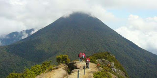 Jalur Pendakian Gunung Gede Pangrango Ditutup