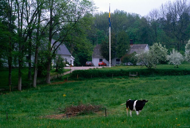 Lantlig idyll Åkers gård, i dag delvis husbilsparkering, 1984.