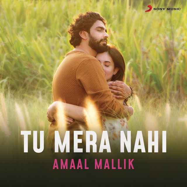 Tu Mera Nahi lLyrics (Hindi & English) - Amaal Mallik