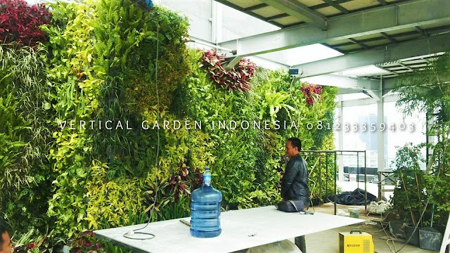 VERTICAL GARDEN INDONESIA SPESIALIS JASA PEMBUATAN VERTICAL GARDEN DI PURWOKERTO JAWA TENGAH DAN DI SELURUH WILAYAH JAWA TENGAH DENGAN TENAGA YANG PROFESIONAL DAN DAPAT DI PERCAYA YANG SELALU MENGUTAMAKAN SEBUAH MUTU DAN KUALITAS PEMASANGAN VERTICAL GARDEN/TAMAN DINDING, JASA TUKANG TAMAN VERTICAL PURWOKERTO JAWA TENGAH, JASA VERTICAL GARDEN PURWOKERTO JAWA TENGAH