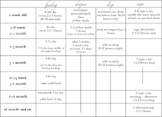Baby Food Schedule on Baby Wise Sample Schedule