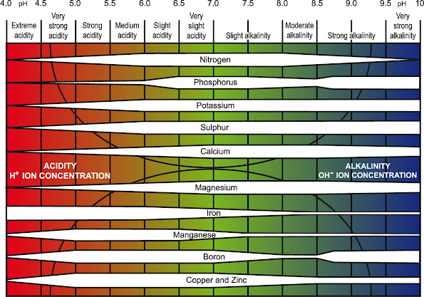 Truog, E. (1946). Soil reaction influence on availability of plant nutrients. Soil Science Society of America Proceedings 11, 305-308