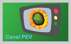 «Os Verdes» no YouTube