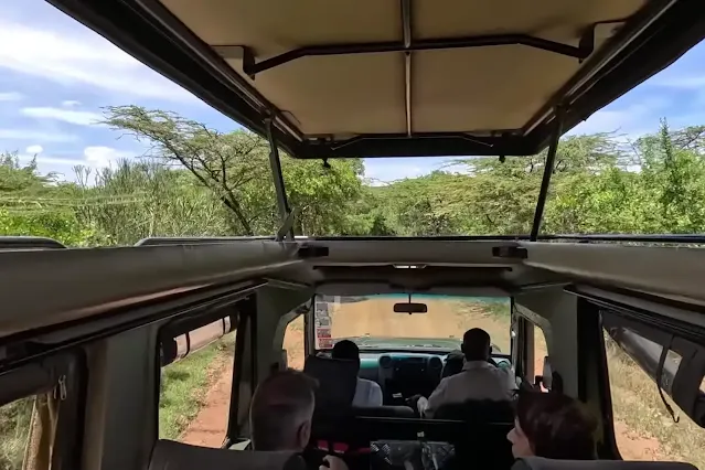 solo safari game drives