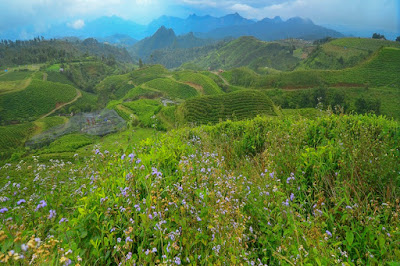 tempat-wisata-malino