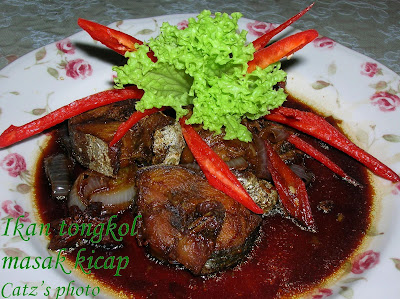 Catz's Cafe: Ikan tongkol masak kicap