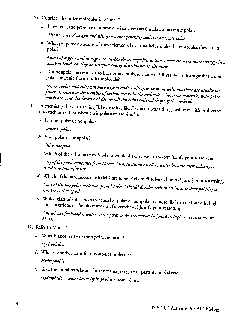 Biochemistry basics pogil answer key