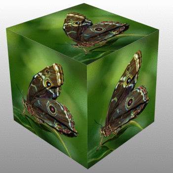 https://mudahtrik.blogspot.com/2015/10/membuat-efek-3d-cube-online-dengan.html