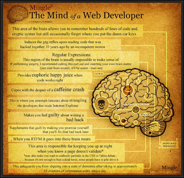 Dissecting Web-developer's Brain - Infographic