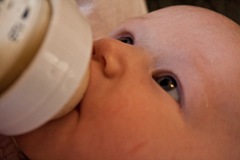 IMG_5084-1