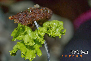 Meat, Minced Meat, Chapli kebab, raw minced meat kebab, kabab, tomato, Beef, Mutton, 