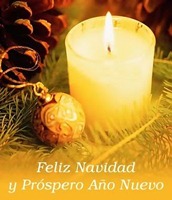 feliz navidad capitanpalomo-com (7)