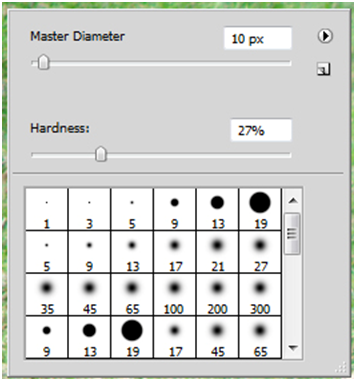 Brush Settings