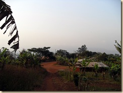 SDC10765