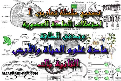 تحميل تصحيح سلسلة تمارين 1 استهلاك المادة العضوية وتدفق الطاقة للسنة الثانية باك ,درس , ملخص , تمارين , امتحان وطني , امتحانات وطنية علوم الحياة والارض , علوم الحياة والارض , فروض علوم الحياة والارض , الثانية باك , بكالوريا, تعلم اللغات , المدارس العليا , دروس اونلاين