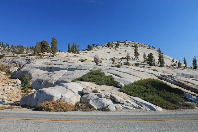 Yosemite National Park Tioga Pass geology travel field trip copyright rocdoctravel.com