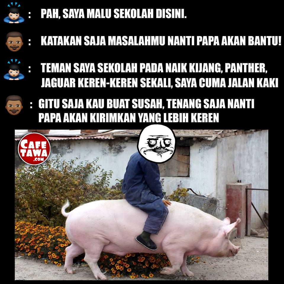 Download Kumpulan 60 Meme Sabung Ayam Terbaru Gudang Meme
