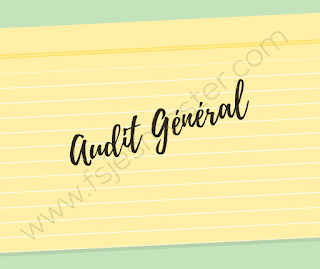 Cours d'audit général