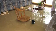 How To Clean Up a Water Damaged Home