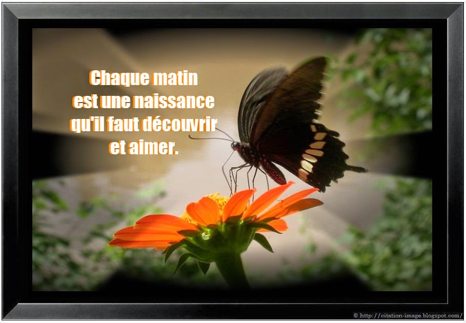 Plus des proverbes et citations avec le mot matin: