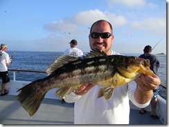 Jason's Calico