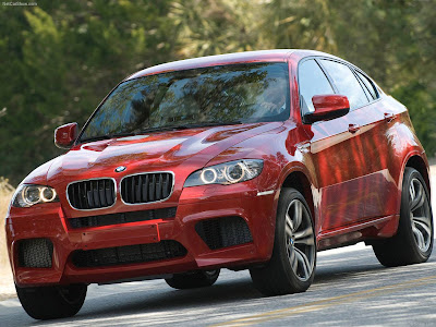 wrestler wallpaper_04. BMW X6 Wallpapers and Pictures