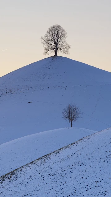 HD Wallpaper Winter, Hills, Trees, Snow
