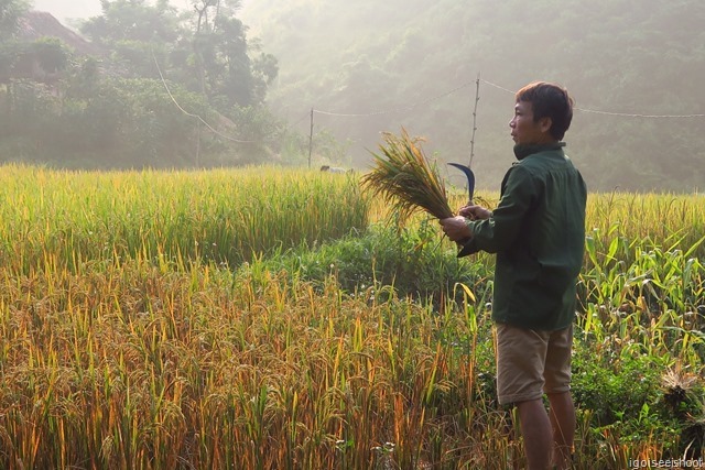 Morning in Ban Hieu, Pu Luong Nature Reserve