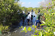 Cegah Abrasi pantai, Satgas TMMD ke 105 Kodim 1615/Lotim Tanam Pohon Mangrove