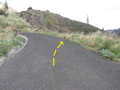 LA GOMERA EL RUMBAZO-IMADA-PAJARITO-MIRADOR LOS ROQUES-BENCHIJIGUA-EL RUMBAZO, sendero en el Barranco de Santiago