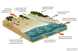 diagram of How a beach forms