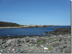 DSCF0449