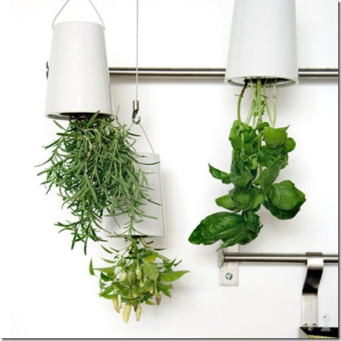 Sky-planter-x-small3_w500_wmkrydder