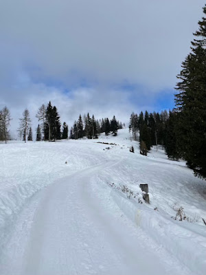 Dolomiti Comelico Superiore passeggiate neve