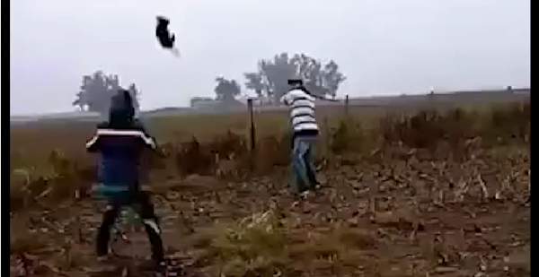Fuerte video muestra como dos sujetos juegan al Béisbol con un cachorro. Se quiere dar con su paradero Fuerte video muestra como dos sujetos juegan al Béisbol con un cachorro. Se quiere dar con su paradero