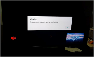 this device is not optimized for Netflix