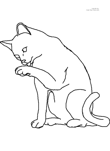 Cat Color Pages Printable   Printable Coloring Page For  By  Inch