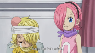 One Piece Episode 803 sub indo