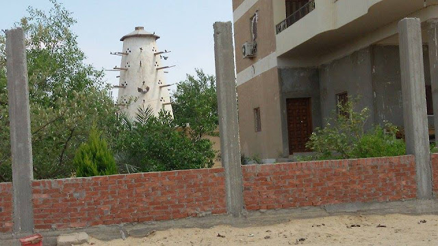 Farm for sale in Egypt, مزارع الاسماعيلية, مزارع للبيع فى الاسماعيلية, مزرعة للبيع بالاسماعيلية